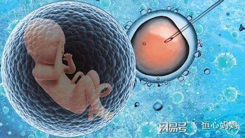 关于景泰生殖